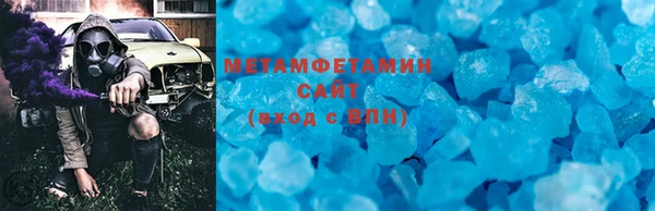 гидра Елизово
