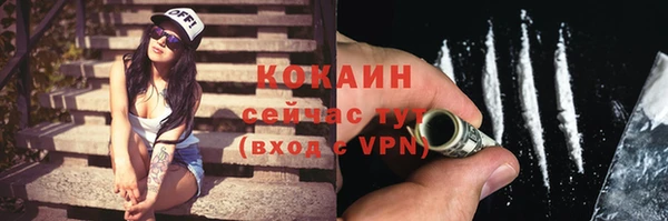 гидра Елизово