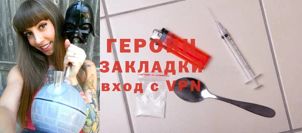 гидра Елизово
