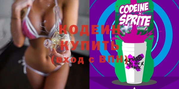 гидра Елизово
