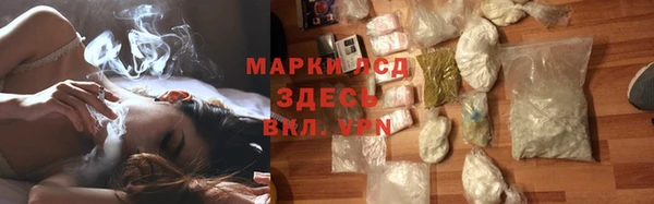 гидра Елизово