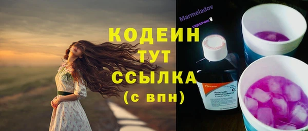 дурь Ельня