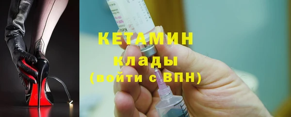 гидра Елизово