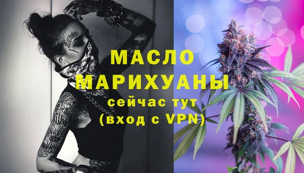 гидра Елизово