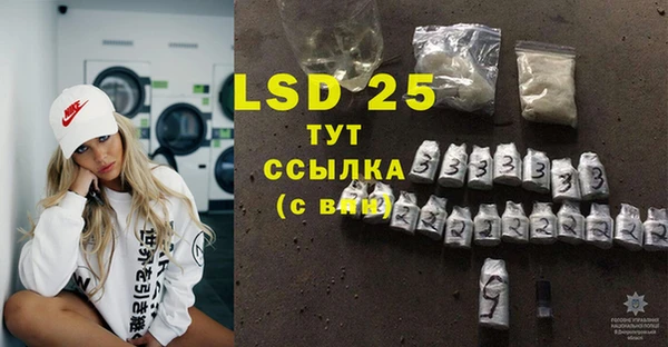 гидра Елизово