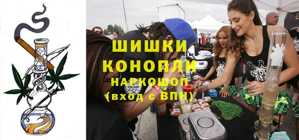 гидра Елизово