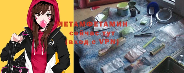 гидра Елизово