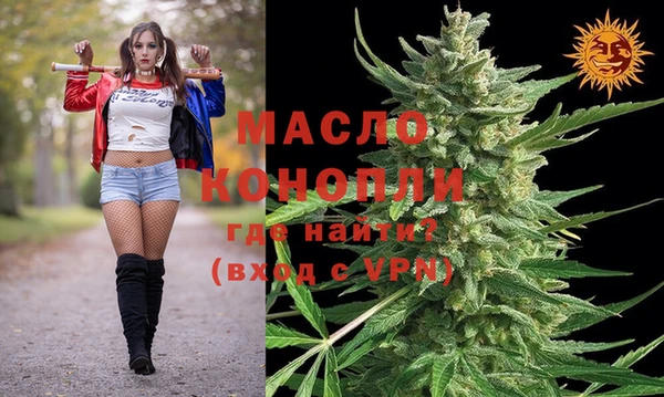 гидра Елизово
