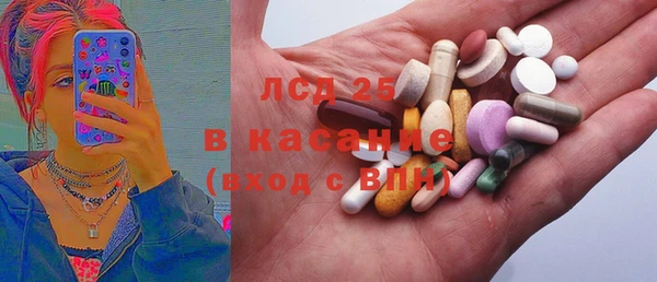 дурь Ельня