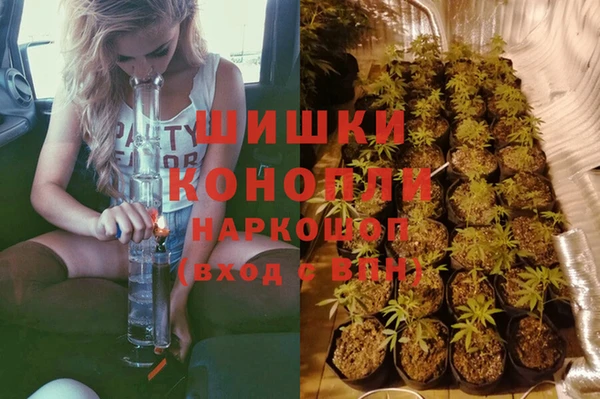 гидра Елизово