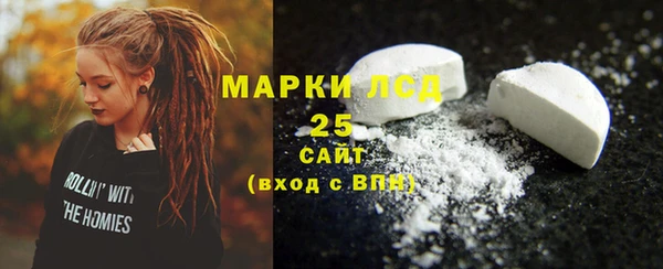 гидра Елизово