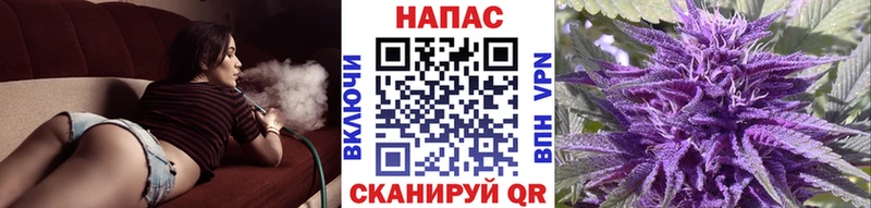 Купить  Осинники  Марихуана конопля 